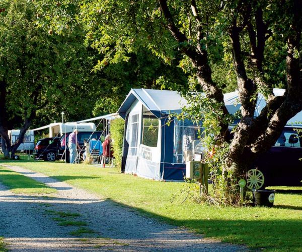 Een kampeervakantie op Guldborg Camping biedt veel natuur, rust en vogelgezang.
